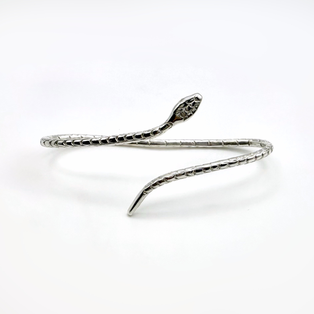 snakes for website.png (Copy)